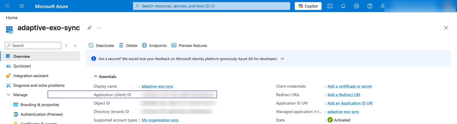 An app registration's Overview page with the Application (client) ID highlighted